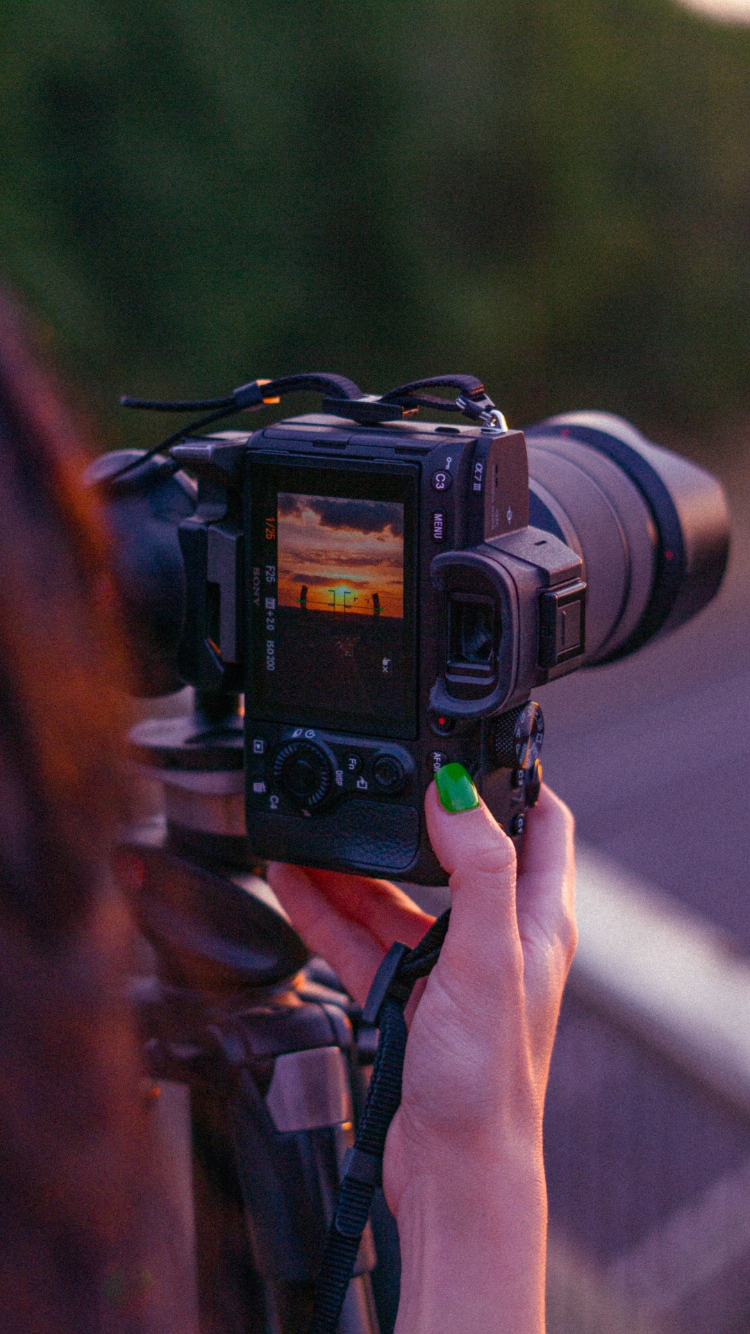 Foto Professionali
